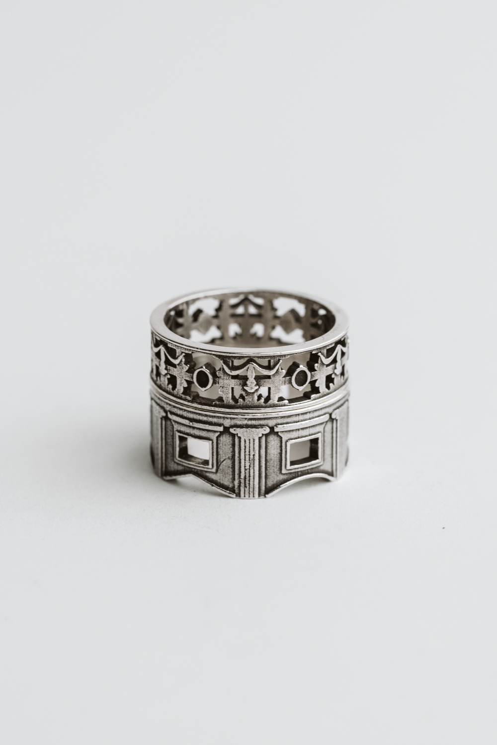 ANELLO PALAZZO NICOLOSIO LOMELLINO BASSO - immagine 12